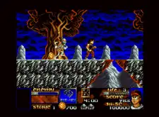 Risky Woods image