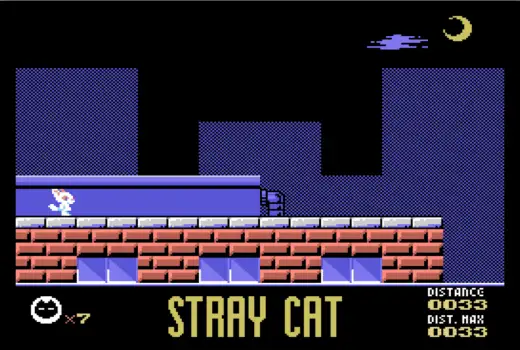 Stray Cat Stray Cat