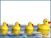 Los patitos feos del software español (II): OMK.